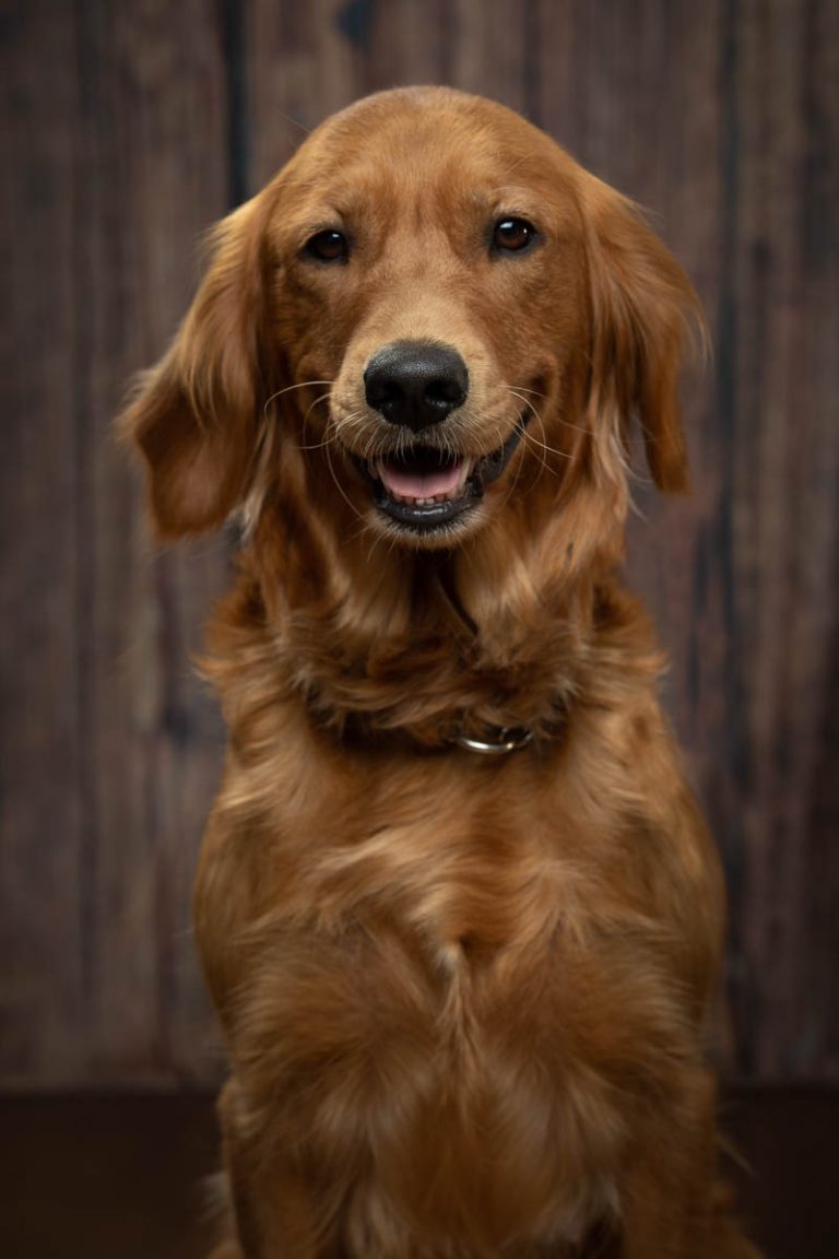 Gracie